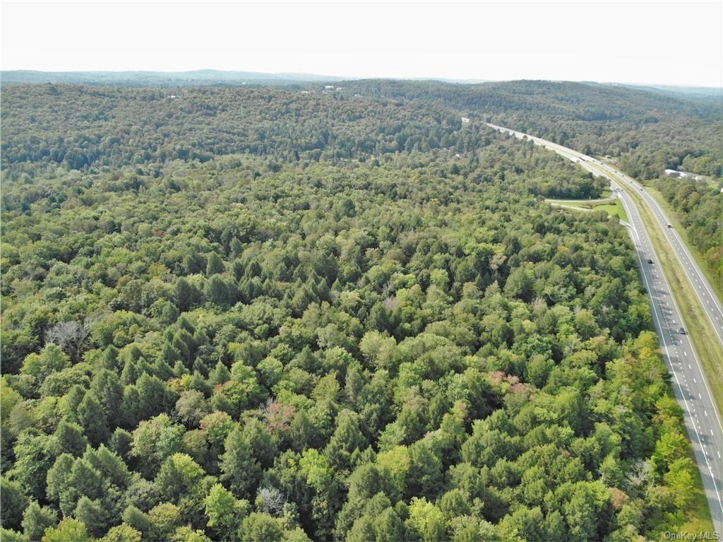 Nys Rt 17 And Old Rt 17 – For Sale photo 9