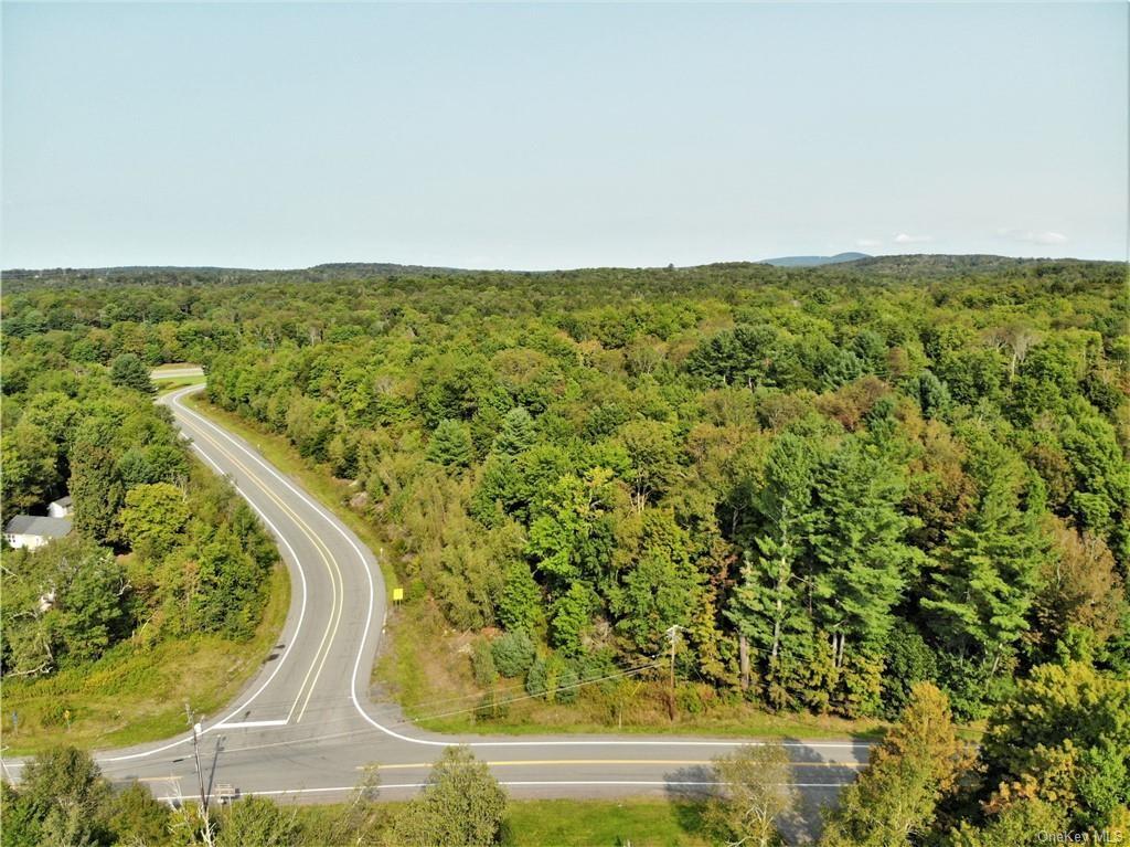 Nys Rt 17 And Old Rt 17 – For Sale photo 5