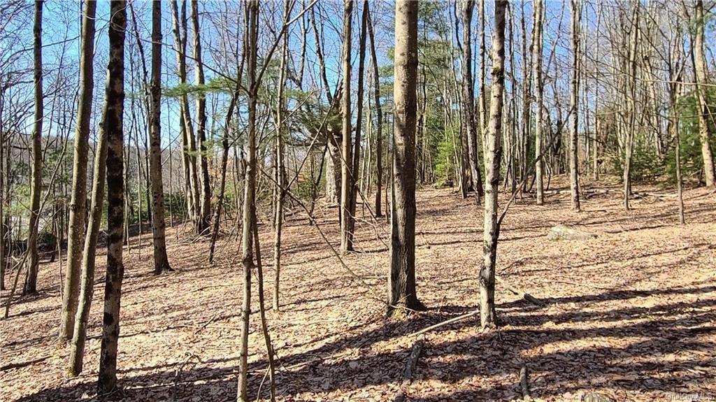 Nys Rt 17 And Old Rt 17 – For Sale photo 15