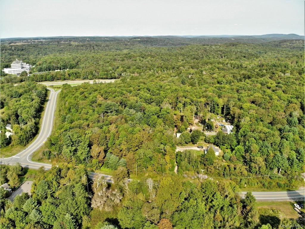 Nys Rt 17 And Old Rt 17 – For Sale photo 7