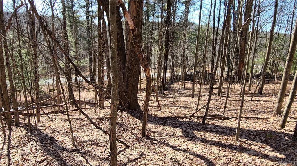 Nys Rt 17 And Old Rt 17 – For Sale photo 18