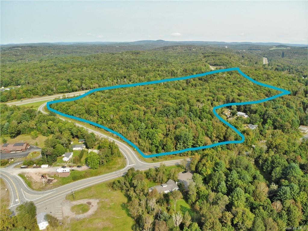 Nys Rt 17 And Old Rt 17 – For Sale photo 3