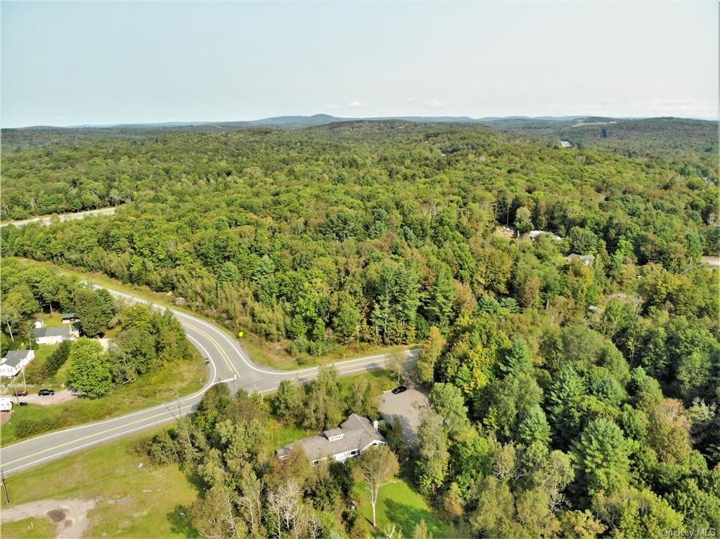 Nys Rt 17 And Old Rt 17 – For Sale photo 6