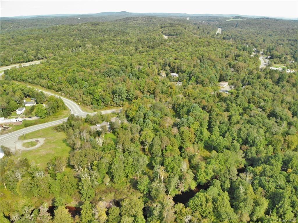 Nys Rt 17 And Old Rt 17 – For Sale photo 13