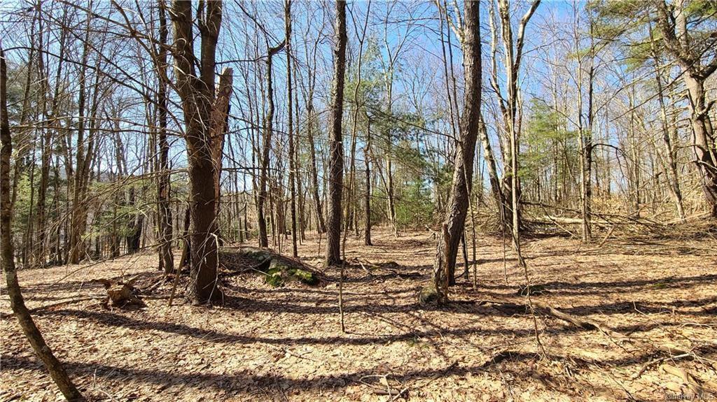Nys Rt 17 And Old Rt 17 – For Sale photo 19