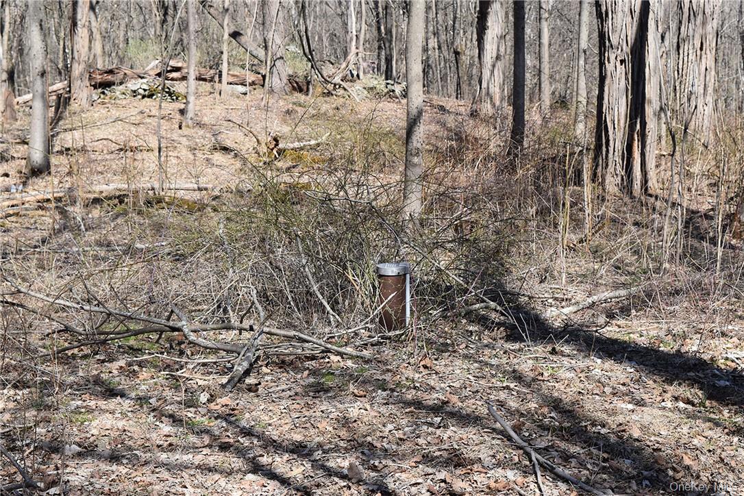 79-85 Miller Road – For Sale photo 7
