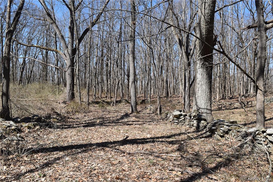 79-85 Miller Road – For Sale photo 13