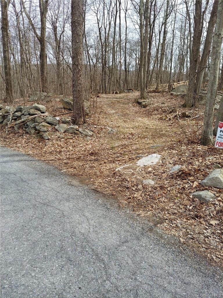 489 Grape Hollow Road – For Sale photo 4