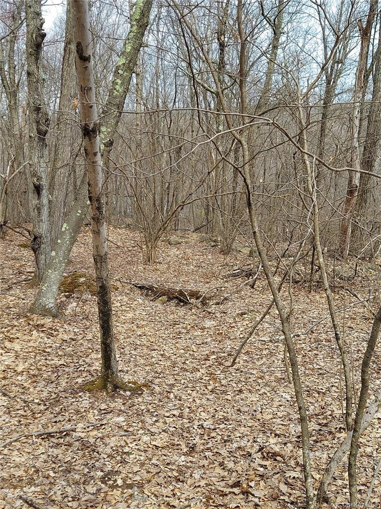 489 Grape Hollow Road – For Sale photo 8