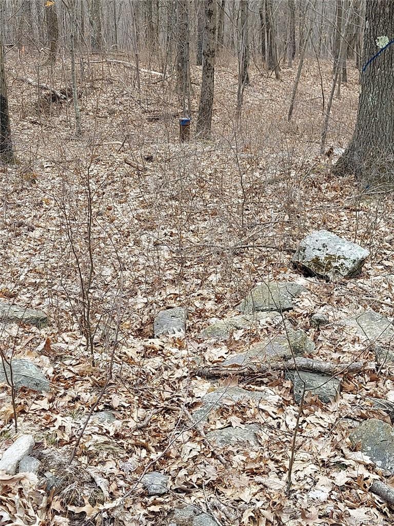 489 Grape Hollow Road – For Sale photo 19