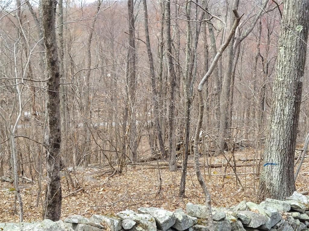 489 Grape Hollow Road – For Sale photo 15