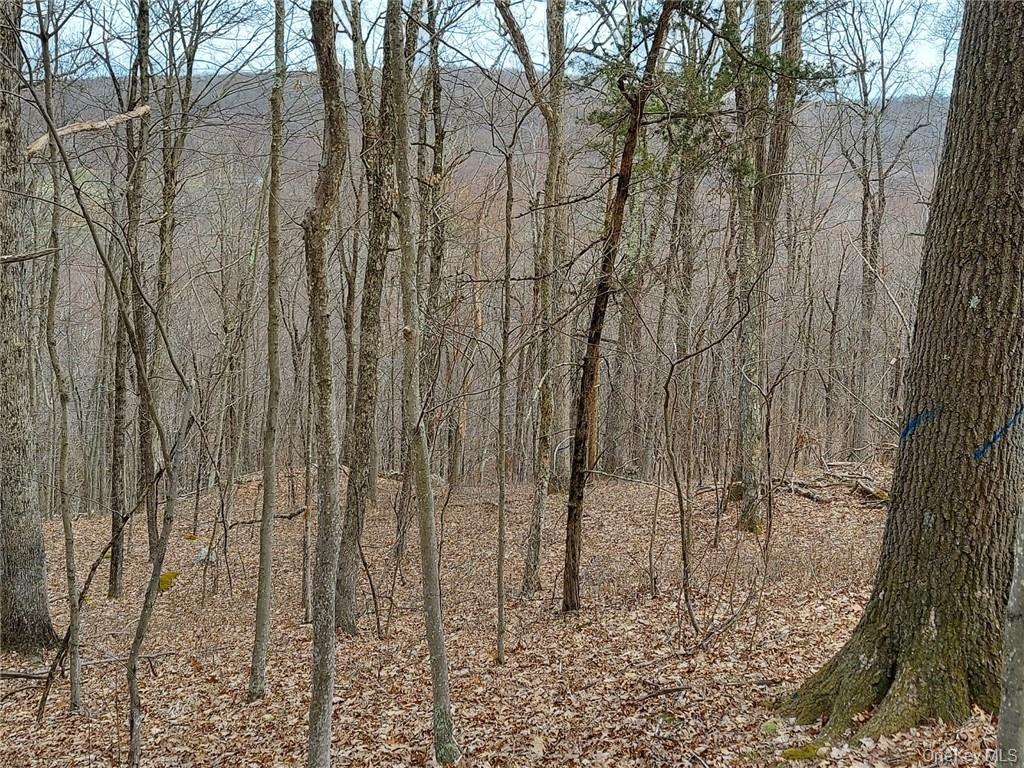 489 Grape Hollow Road – For Sale photo 11