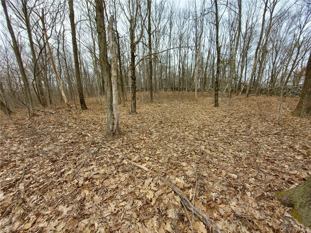 489 Grape Hollow Road – For Sale photo 21