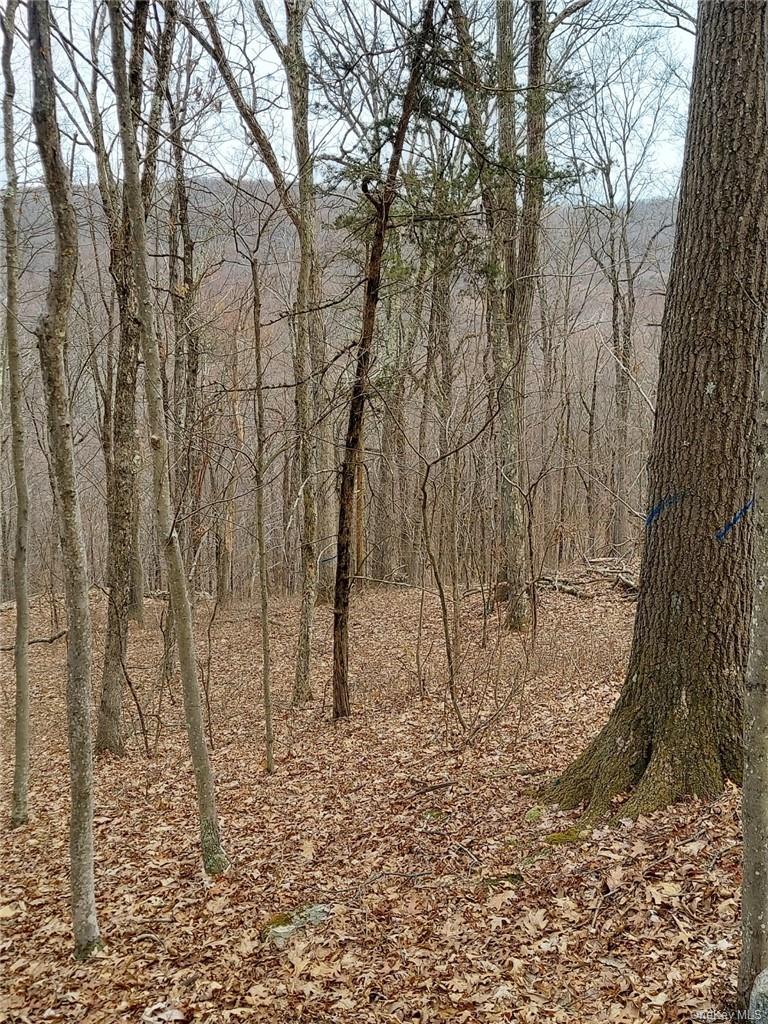 489 Grape Hollow Road – For Sale photo 10