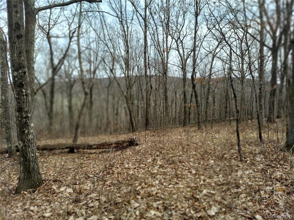 489 Grape Hollow Road – For Sale photo 14