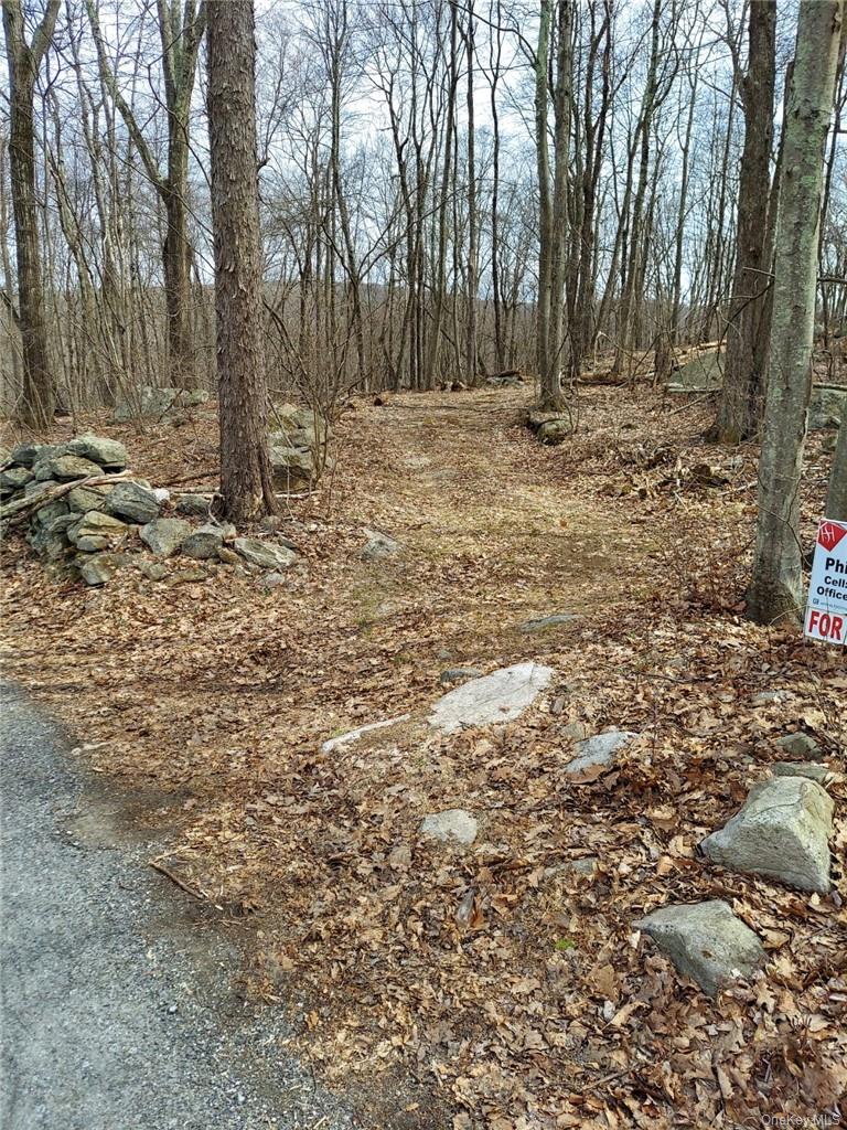 489 Grape Hollow Road – For Sale photo 3