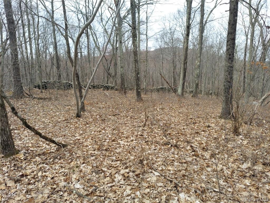 489 Grape Hollow Road – For Sale photo 13