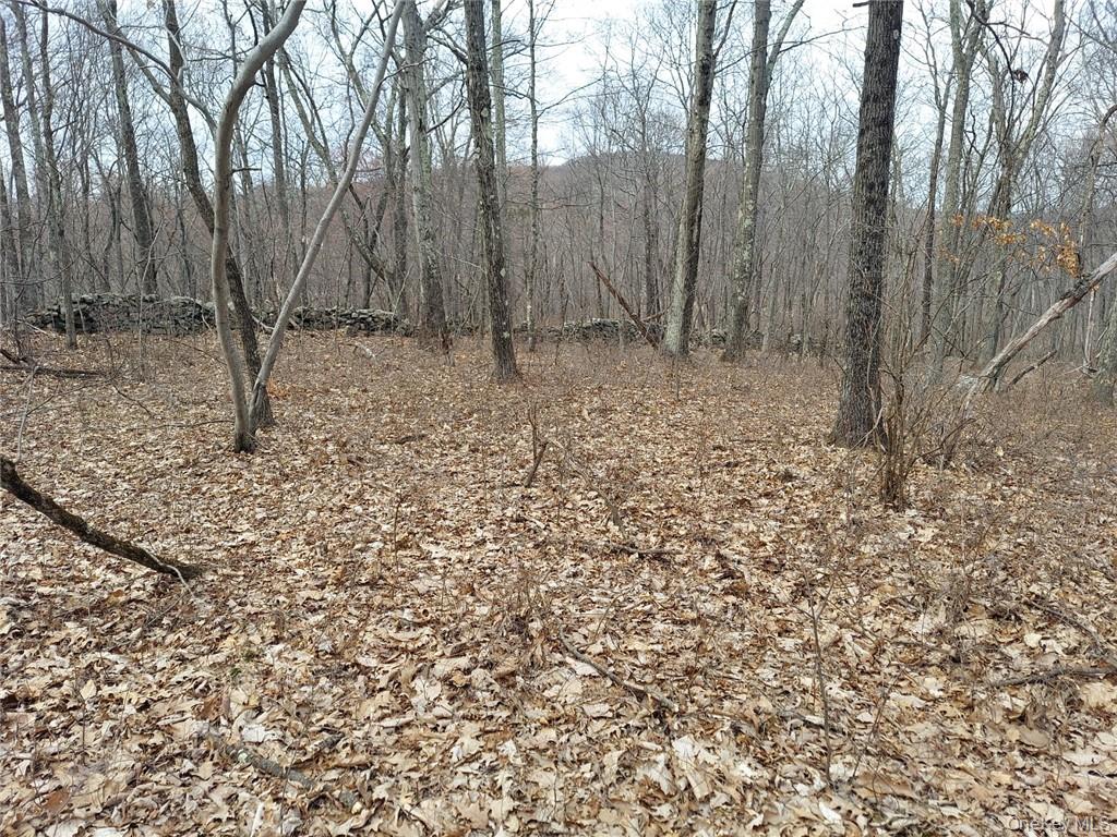 489 Grape Hollow Road – For Sale photo 12
