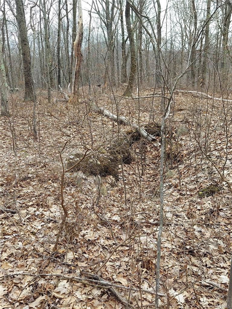 489 Grape Hollow Road – For Sale photo 20