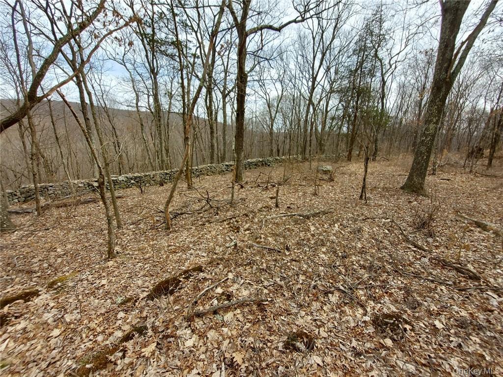 489 Grape Hollow Road – For Sale photo 18