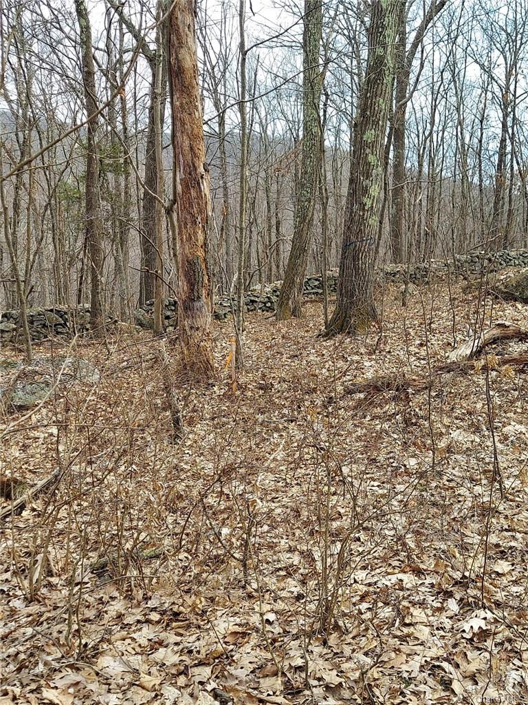 489 Grape Hollow Road – For Sale photo 9