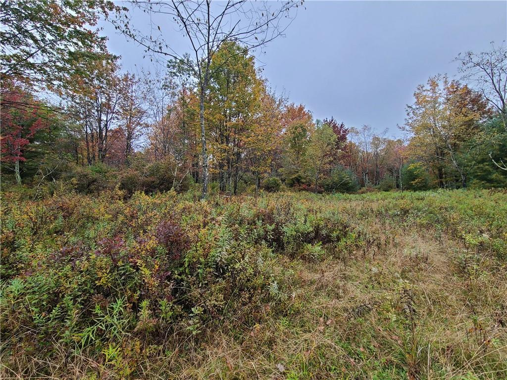 116 Voss Road – For Sale photo 27