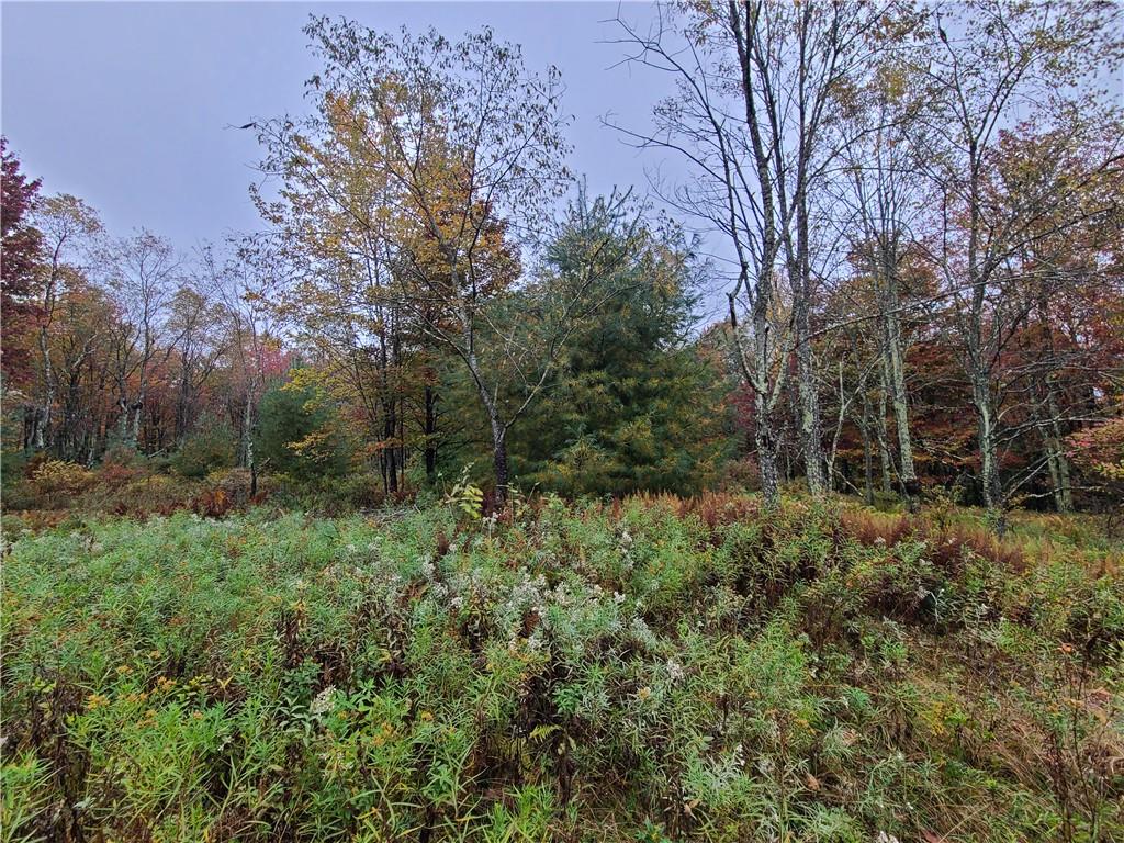 116 Voss Road – For Sale photo 15