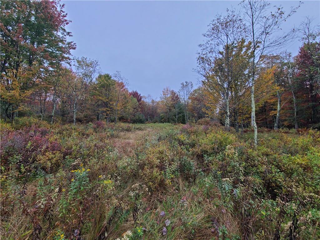 116 Voss Road – For Sale photo 2