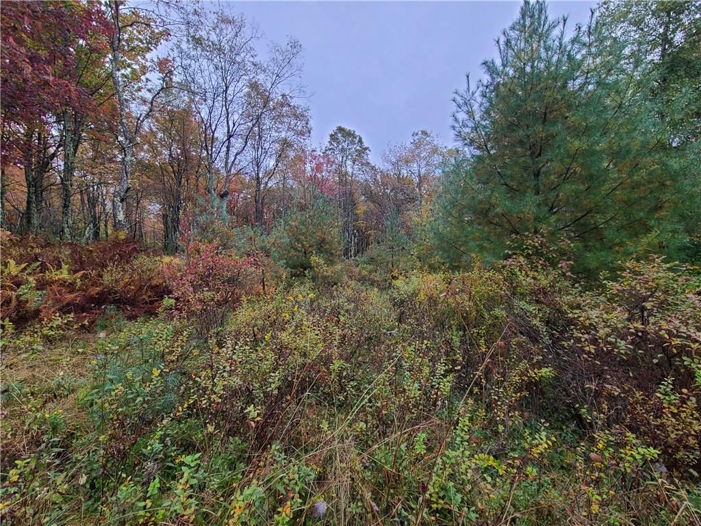 116 Voss Road – For Sale photo 10
