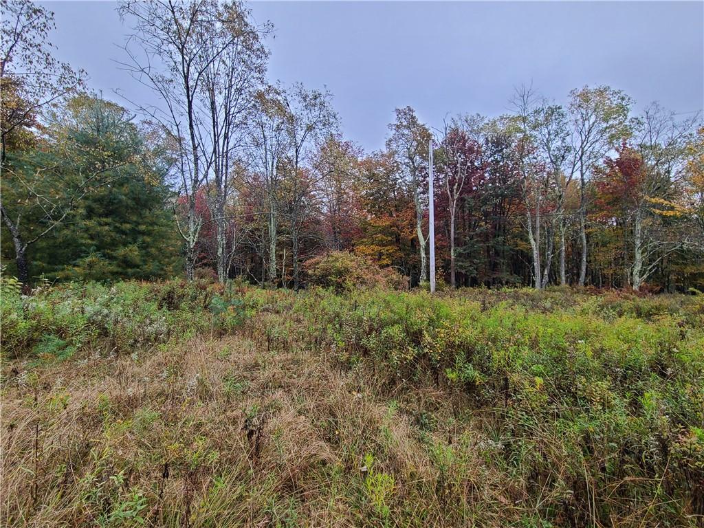 116 Voss Road – For Sale photo 3