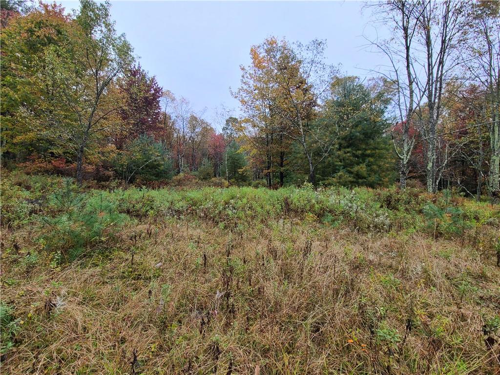 116 Voss Road – For Sale photo 4