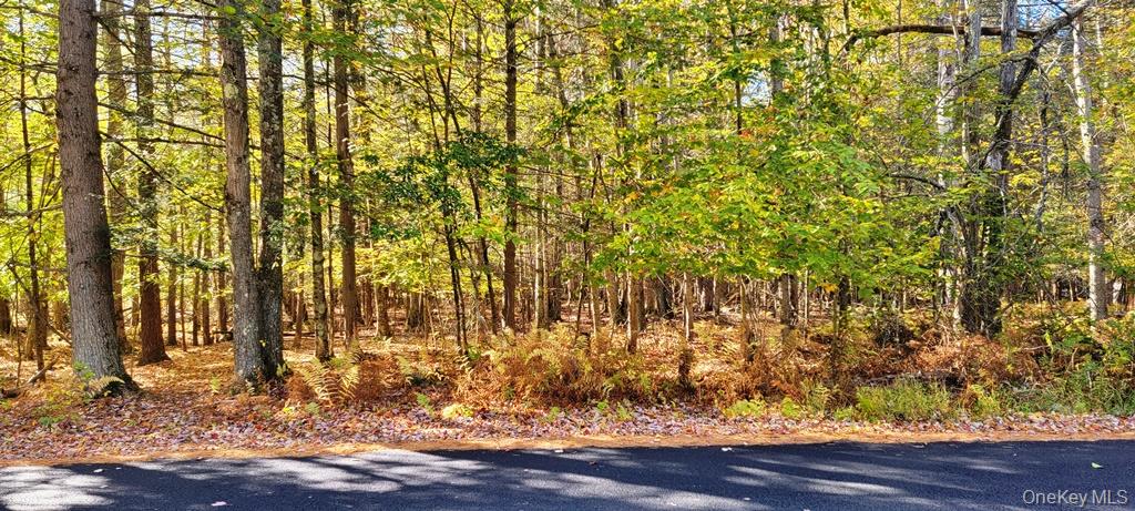 Moscoe Road – For Sale photo 11