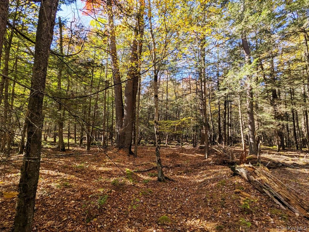 Moscoe Road – For Sale