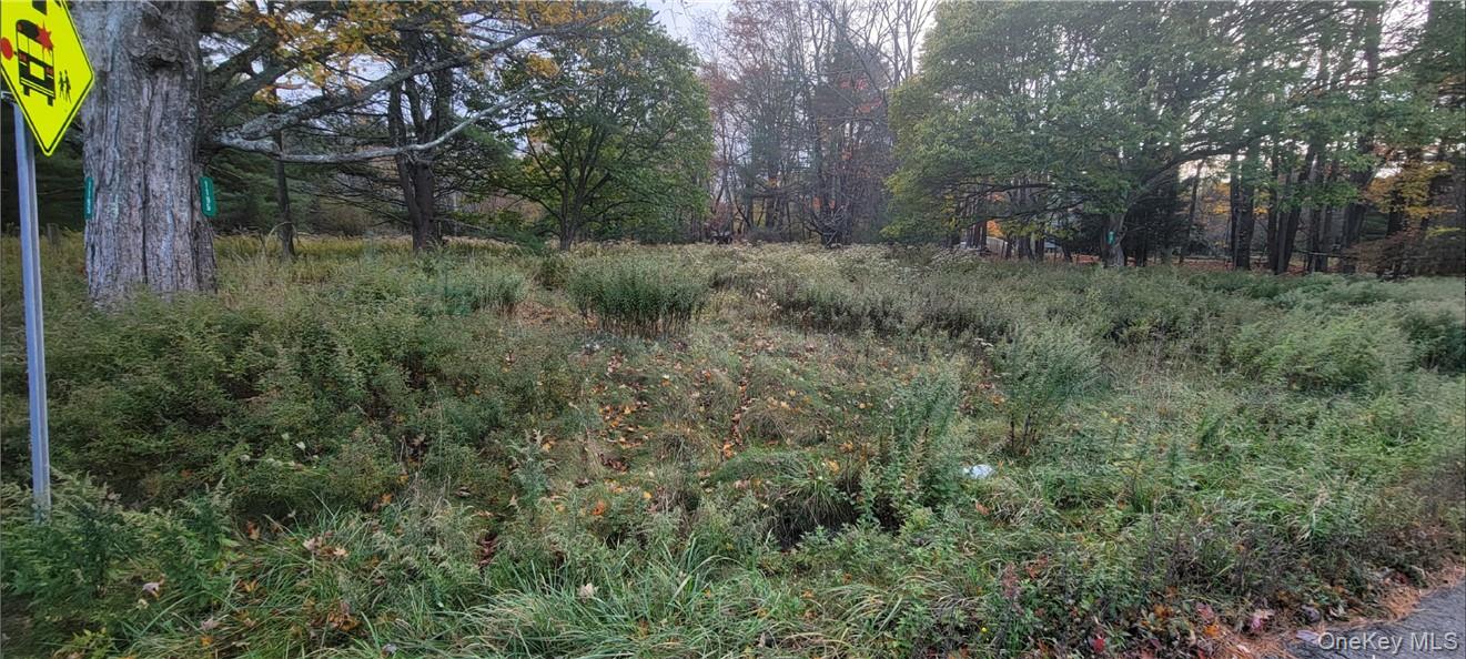 1195 Nys Route 17B – For Sale photo 13