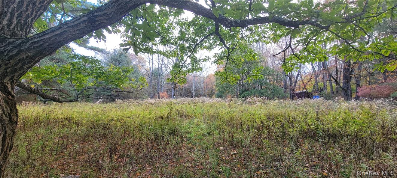 1195 Nys Route 17B – For Sale photo 4