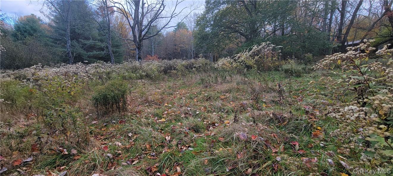 1195 Nys Route 17B – For Sale photo 15