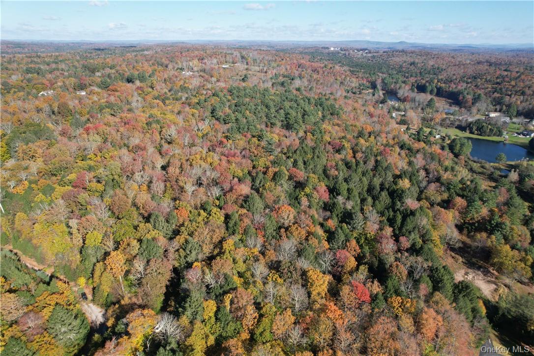 1195 Nys Route 17B – For Sale photo 24