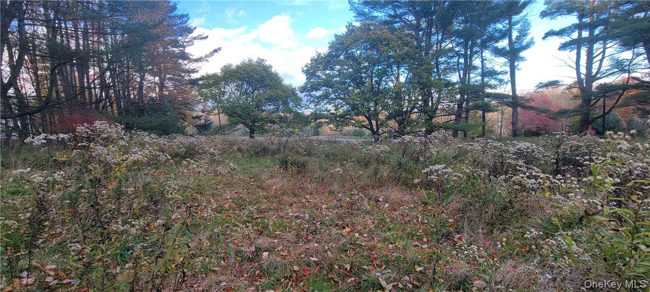 1195 Nys Route 17B – For Sale photo 16
