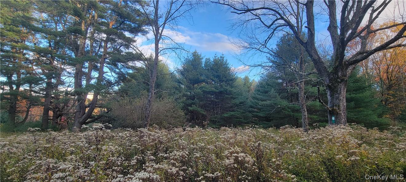 1195 Nys Route 17B – For Sale photo 9