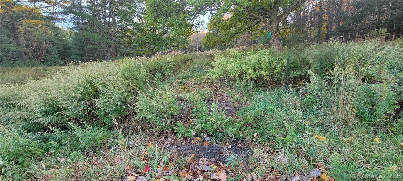 1195 Nys Route 17B – For Sale photo 8