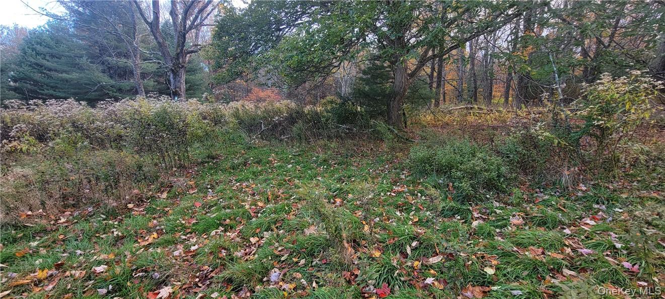 1195 Nys Route 17B – For Sale photo 11