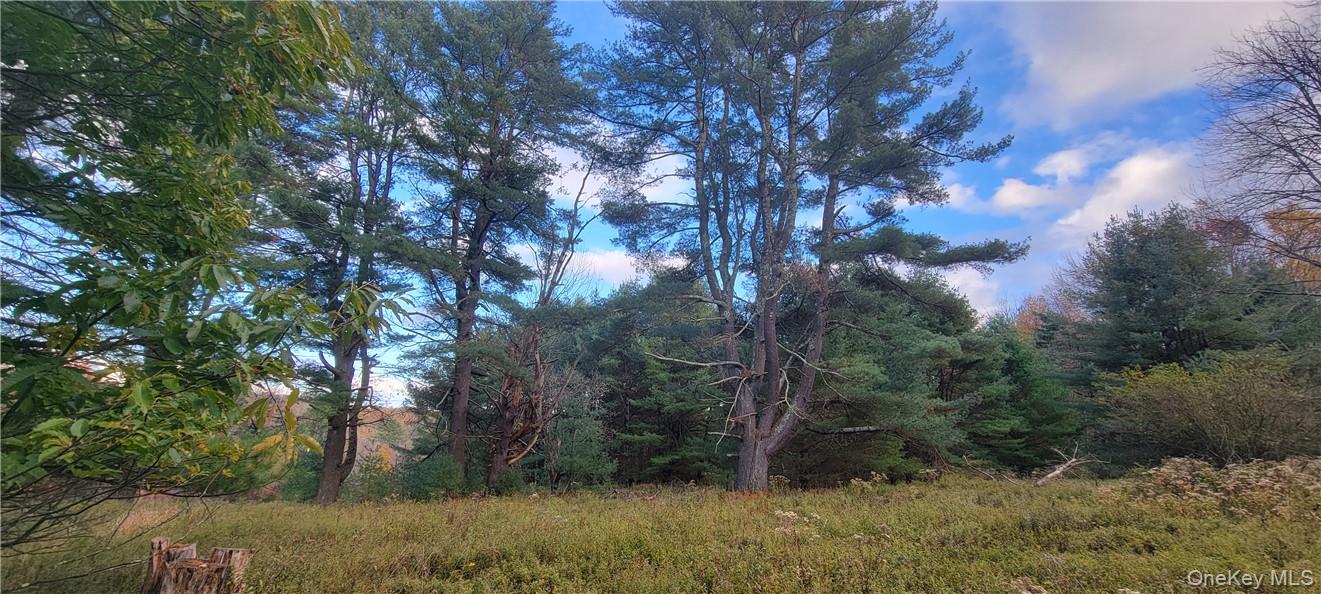 1195 Nys Route 17B – For Sale photo 7