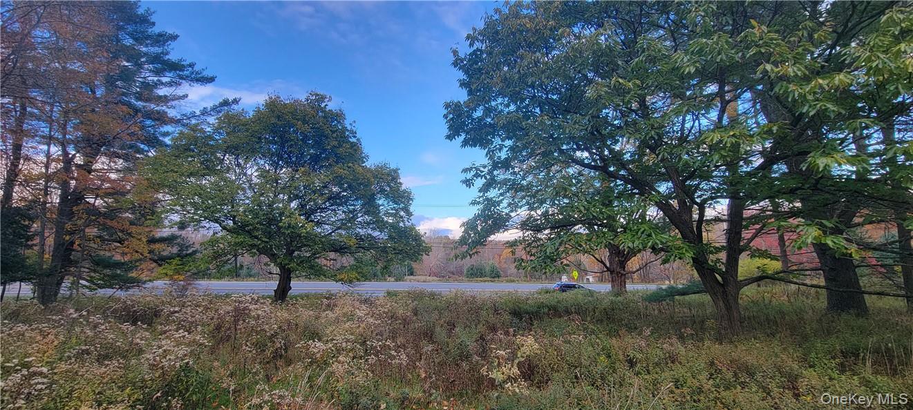 1195 Nys Route 17B – For Sale photo 6