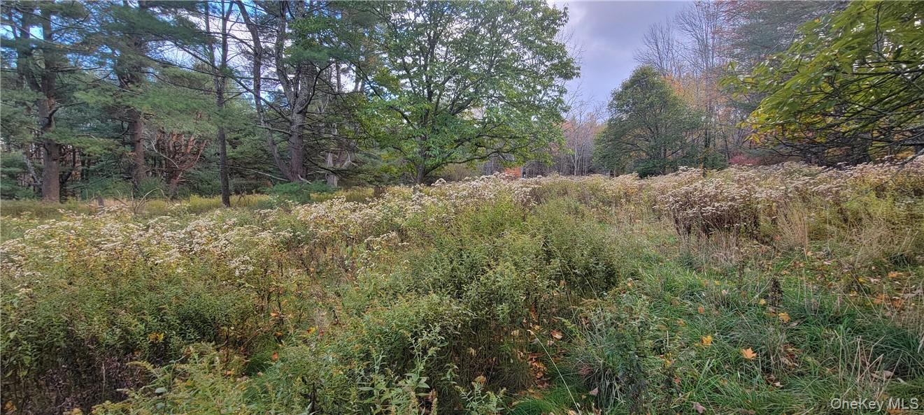 1195 Nys Route 17B – For Sale photo 14