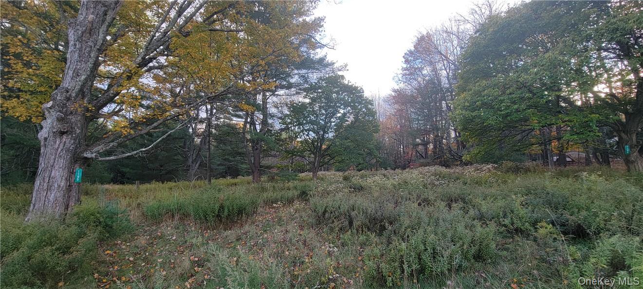 1195 Nys Route 17B – For Sale photo 17