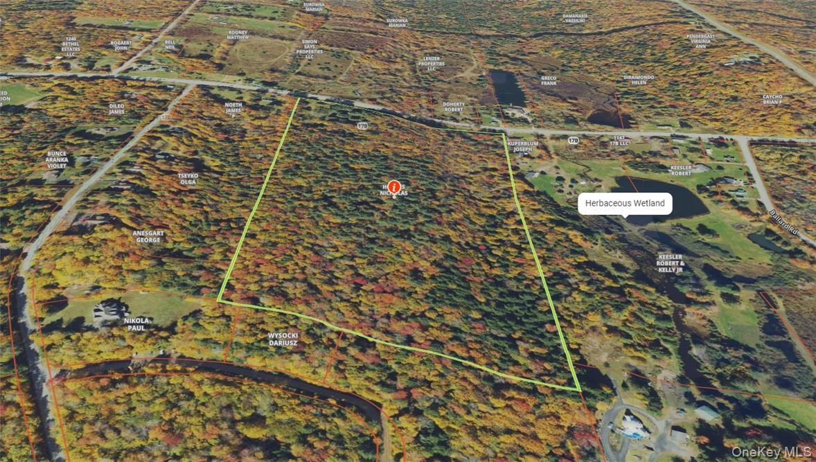 1195 Nys Route 17B – For Sale photo 5