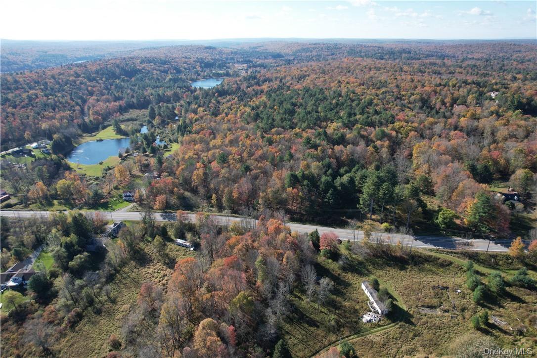 1195 Nys Route 17B – For Sale photo 3