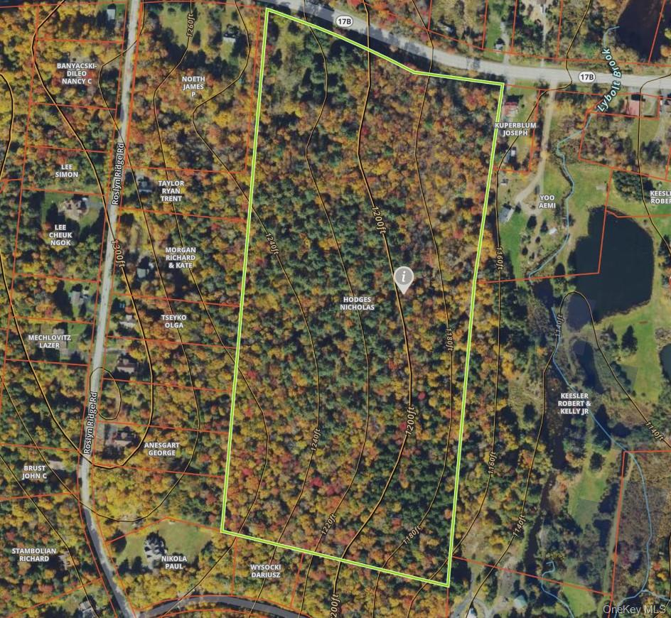 1195 Nys Route 17B – For Sale photo 22