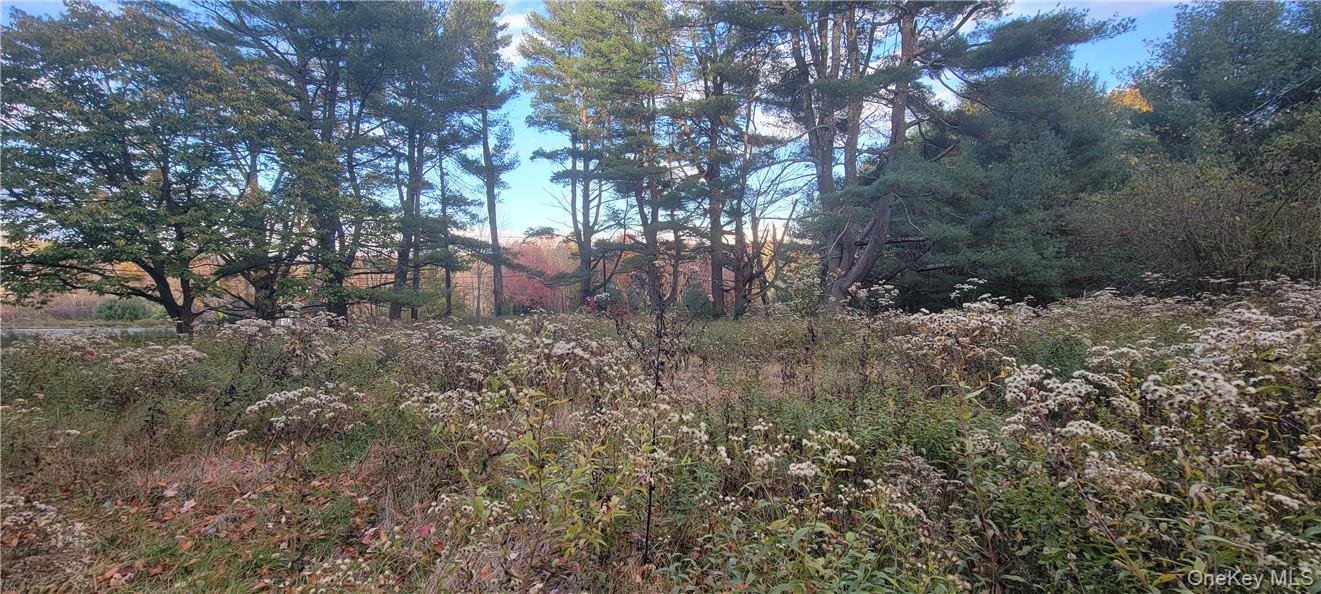 1195 Nys Route 17B – For Sale photo 10