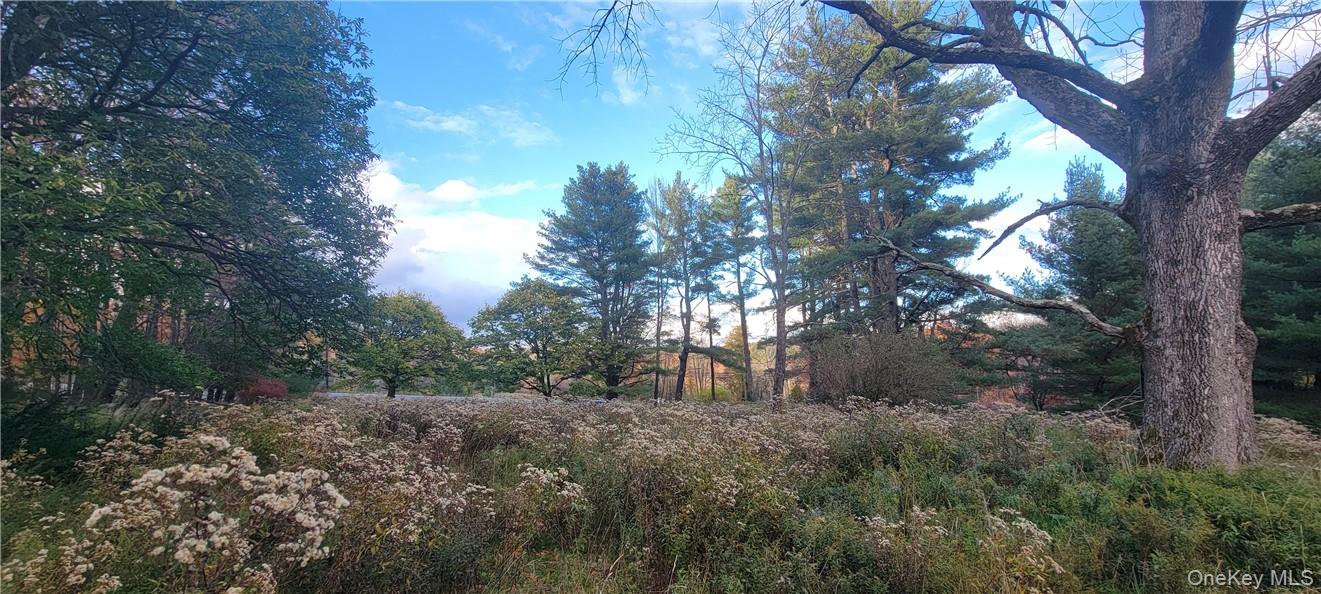1195 Nys Route 17B – For Sale photo 12